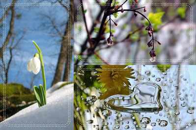 Стихи о весне и её ожидании