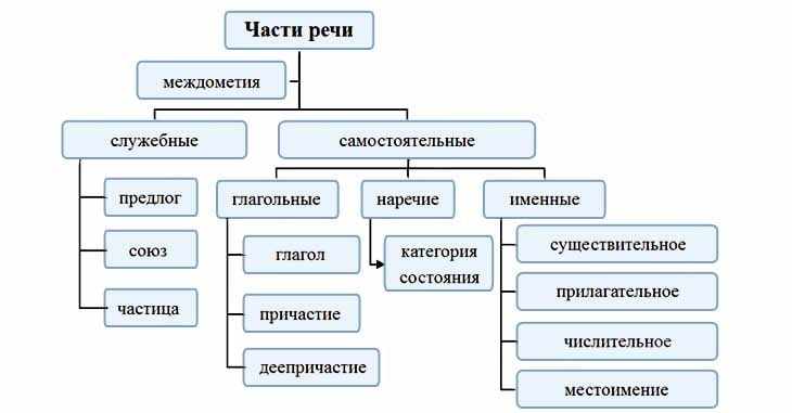Части речи в русском языке (таблица с примерами)