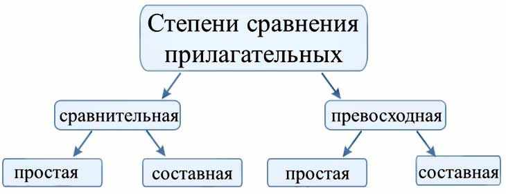 Имя прилагательное в русском языке
