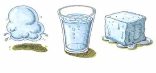 Какую роль выполняет вода в жизнедеятельности клетки: какую роль играет фотолиз воды, свойства воды