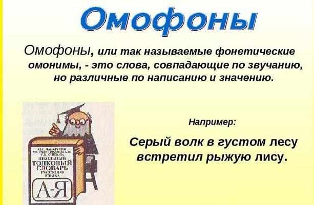 Омофоны в русском языке: значение и примеры употребления в предложениях