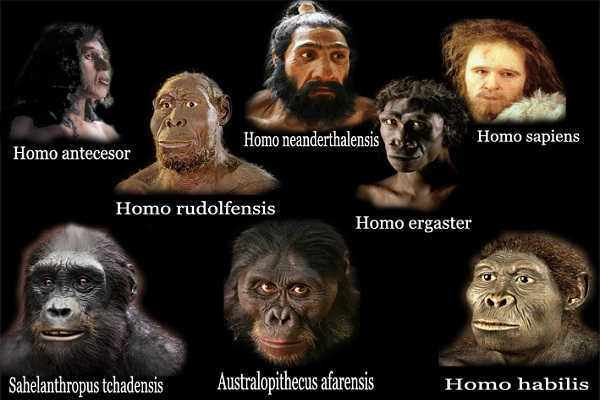 Как появился человек на земле: теории и гипотезы происхождения предков современного вида