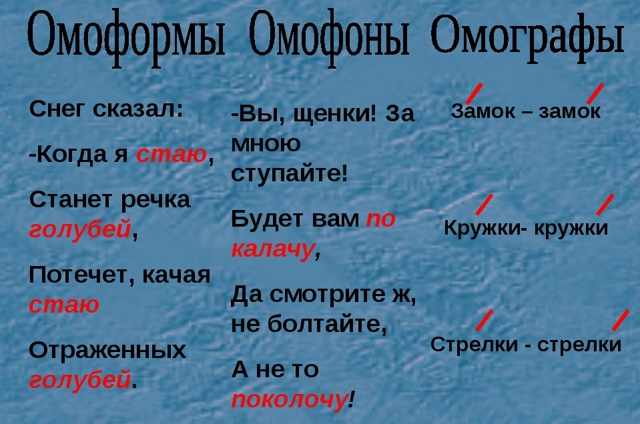 Омофоны в русском языке: значение и примеры употребления в предложениях