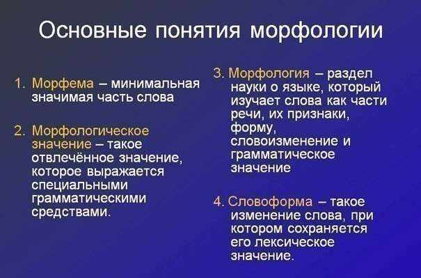 Морфология русского языка: разделы, основные понятия и правила