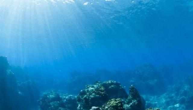 Самое глубокое дно мирового океана: где находится, особенности флоры и фауны