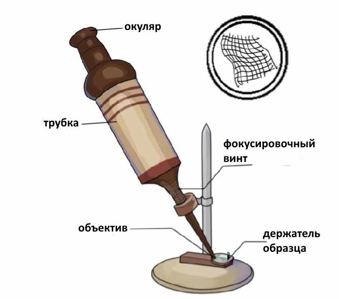 Микроскоп Роберта Гука