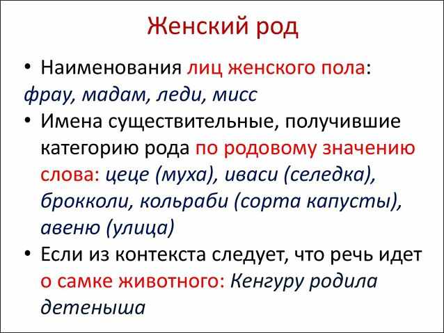 Женский род существительных в русском языке