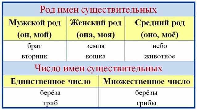 ИМЯ СУЩЕСТВИТЕЛЬНОЕ - это... в русском языке
