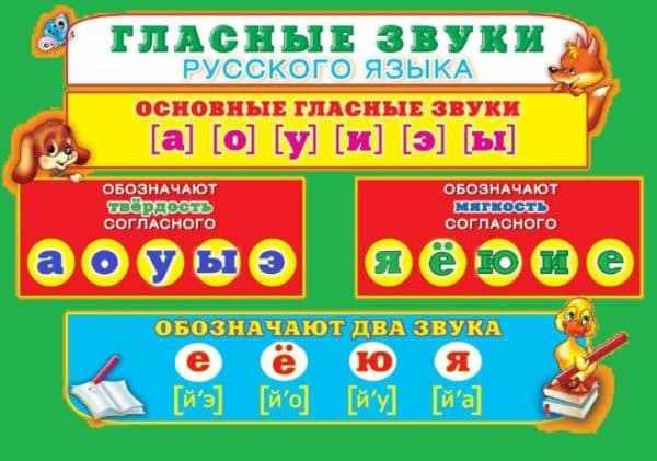 Сколько гласных и согласных букв и звуков в русском языке?