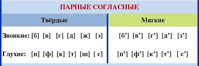 Звонкие согласные звуки в русском языке