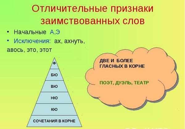 Заимствованные слова в русском языке. Примеры слов и их значение