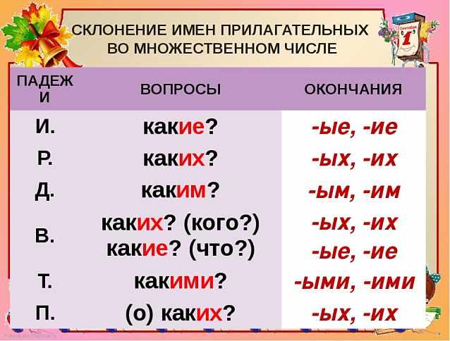 Склонение имён прилагательных в русском языке