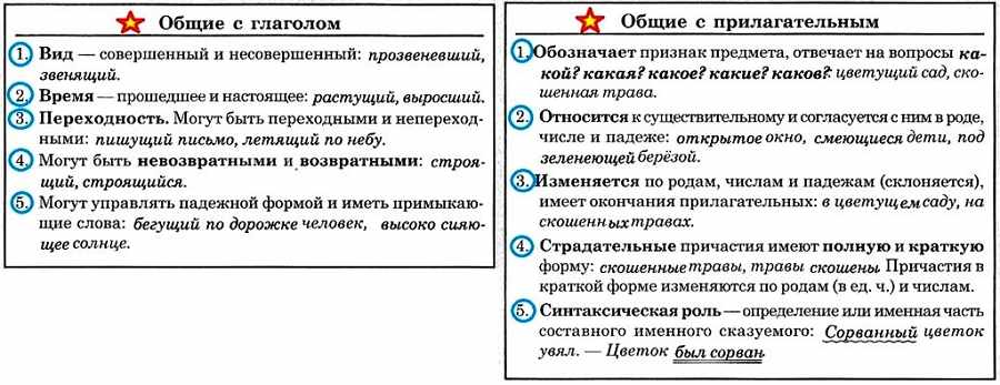 Причастие в русском языке особая часть речи